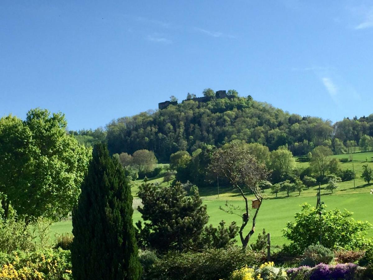 Hegau-Lounge-Bodensee Muhlhausen-Ehingen Eksteriør bilde